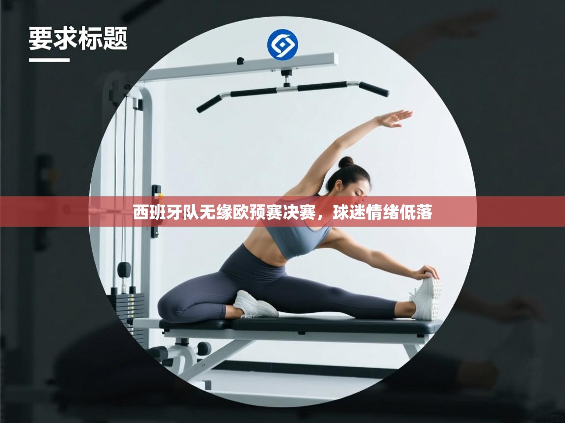 西班牙队无缘欧预赛决赛，球迷情绪低落  第1张